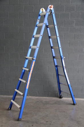 LADDER