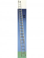 LADDERS